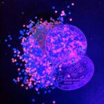 Glitter neón Neptuno
