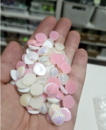 Mini ostras nacaradas